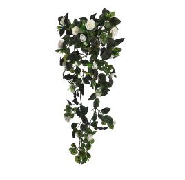 ROSE VINE BUSH X 11 70CM CREAM