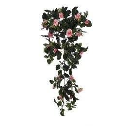 ROSE VINE BUSH X 11 70CM PINK