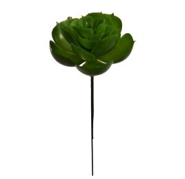 ECHEVERIA PICK 19CM GREEN