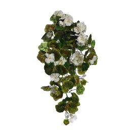 HANGING GERANIUM BUSH CREAM