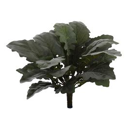 SALVIA ARGENTEA BUSH X 21 32CM GREY