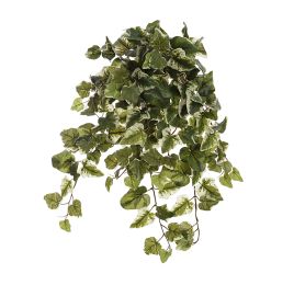 KANGAROO IVY HANGING BUSH X 12 60CM GREEN CREAM