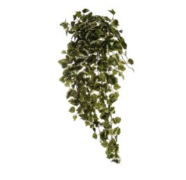 KANGAROO IVY HANGING BUSH X 18 114CM GREEN CREAM