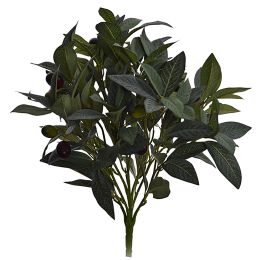 OLIVE BUSH X 5 W/FRUIT 44CM GREY