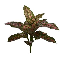MEDIUM LEAVES BUSH X 7 W/22 LVS 41CM PINK DIEFENBACHIA