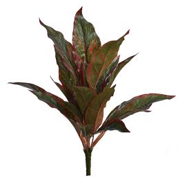 CORDILINE LEAVES PLANT X7 W /20 LVS RED GREEN