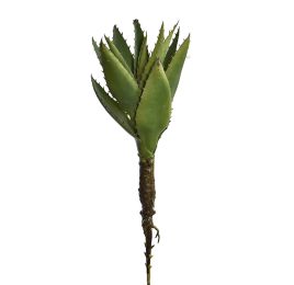 ALOE PLANT 33CM GREEN