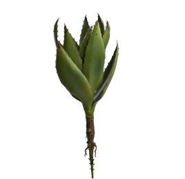 ALOE PLANT 40CM GREEN