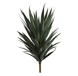 YUCCA PLANT 75CM GREEN