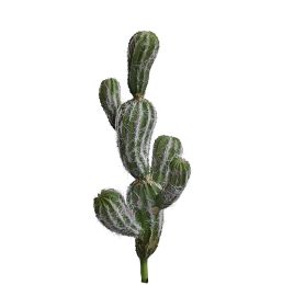 CACTUS PICK X 5 H 28CM GREEN