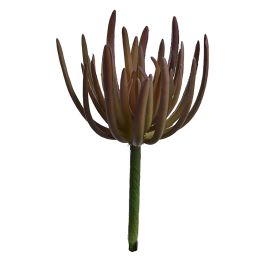 SUCCULENT PICK 19CM BURGUNDY