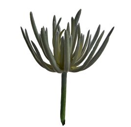 SUCCULENT PICK 19CM GREY