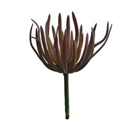 SUCCULENT PICK 20CM BURGUNDY