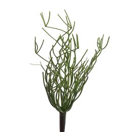 SENECIO BUSH 47CM GREEN
