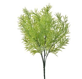 SPRENGERI BUSH 35CM GREEN