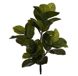 RUBBER PLANT W/40LVS 69CM GREEN