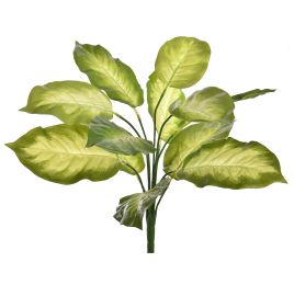 BUSH W/12LVS 40CM GOLDEN DIEFFENBACHIA