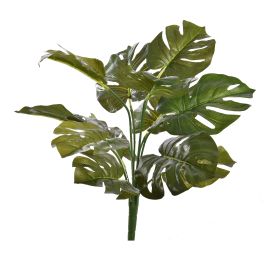 BUSH W/12LVS 40CM SPLIT PHILO