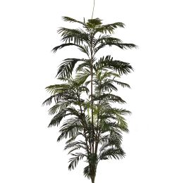 ARECA PALM W/68 LVS 210 CM GREEN