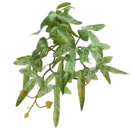 FLAT ACER PLANT LIGHT GREEN