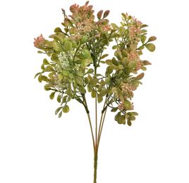 BOXWOOD BERRY BUSH 32CM PEACH