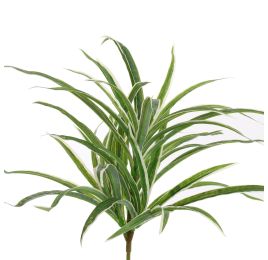 SPIDER PLANT 35CM GREEN WHITE