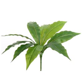 PLANT 35CM D50CM GREEN