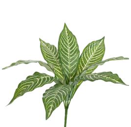 PLANT 35CM D50CM GREEN WHITE