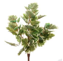 GERANIUM PLANT 33CM WHITE GREEN