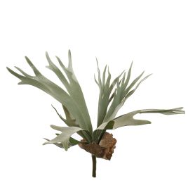 STAGHORN 45CM GREEN