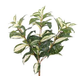 CORDYLINE PLANT 45CM GREEN