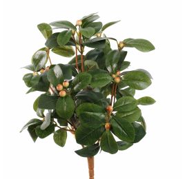 CYTRUS LEAF PLANT 30CM PEACH