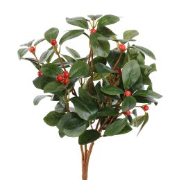 CYTRUS LEAF PLANT 30CM RED