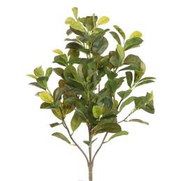 WESTLAND FICUS 55CM GREEN