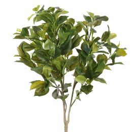 WESTLAND FICUS 65CM GREEN