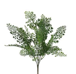 CELERY BUSH 45CM GREEN