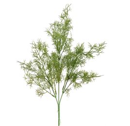 SPRENGERI BUSH 50CM GREEN