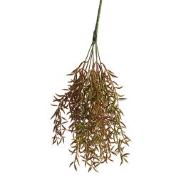 SENECIO BUSH 45CM BROWN