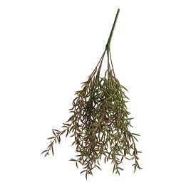 SENECIO BUSH 45CM BURGUNDY
