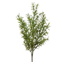 ROSEMARY BUSH 50CM GREEN