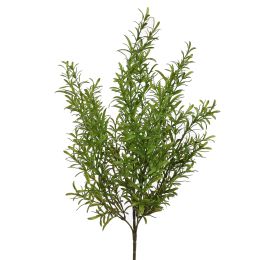 ROSEMARY BUSH 60CM GREEN
