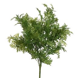 DUSTY MILLER BUSH 37CM GREEN