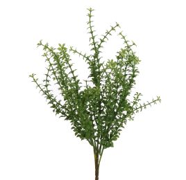 THYME BUSH 45CM GREEN