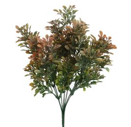 BOXWOOD BUSH 35CM CORAL