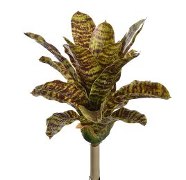SMALL PINEAPPLE PLANT 27CM SPOTTED