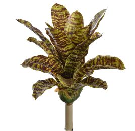 MEDIUM PINEAPPLE PLANT 35CM SPOTTED