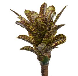 LARGE PINEAPPLE PLANT 45CM SPOTTED