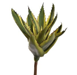 SUCCULENT 33CM GREEN