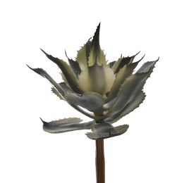 SUCCULENT 24CM GREEN
