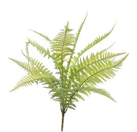 FERN PLANT 54CM GREEN
